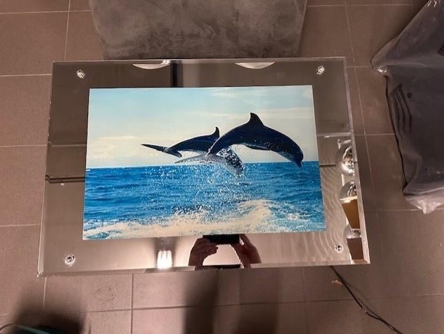 Kader met dolfijnen en bewegend licht, Enlèvement, Utilisé