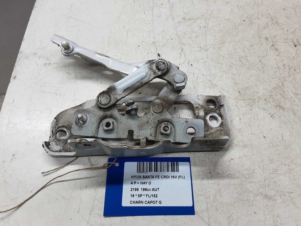 CHARNIERE DE CAPOT GAUCHE Hyundai Santa Fe III (DM), Mevr. I. Hauben, Utilisé, Hyundai, Rue de l'Espoir 34 34
4030  GRIVEGNÉE, BE