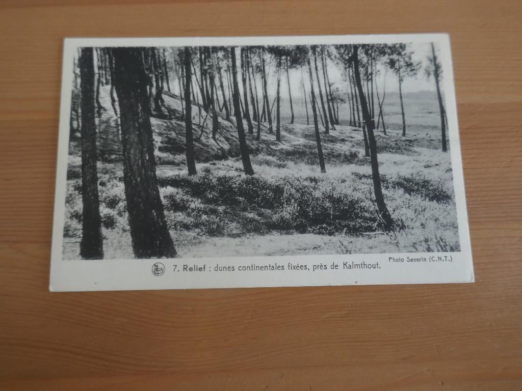 kalmthout de duinen, Verzenden, Ongelopen, Antwerpen