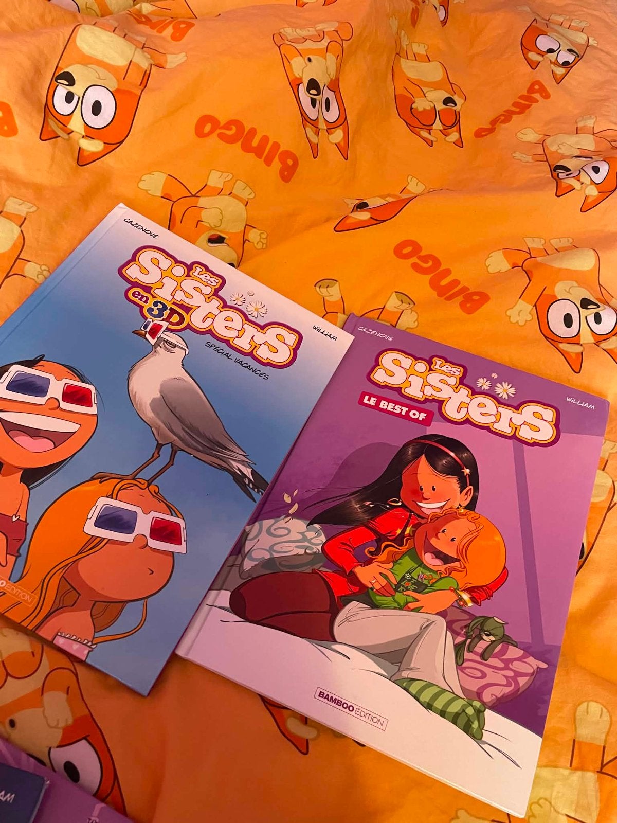 Bd sisters, Livres, Enlèvement ou Envoi, Utilisé