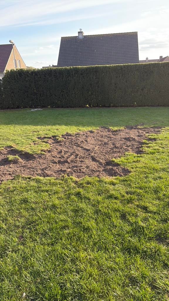 GEZOCHT >10m2 grasmatten