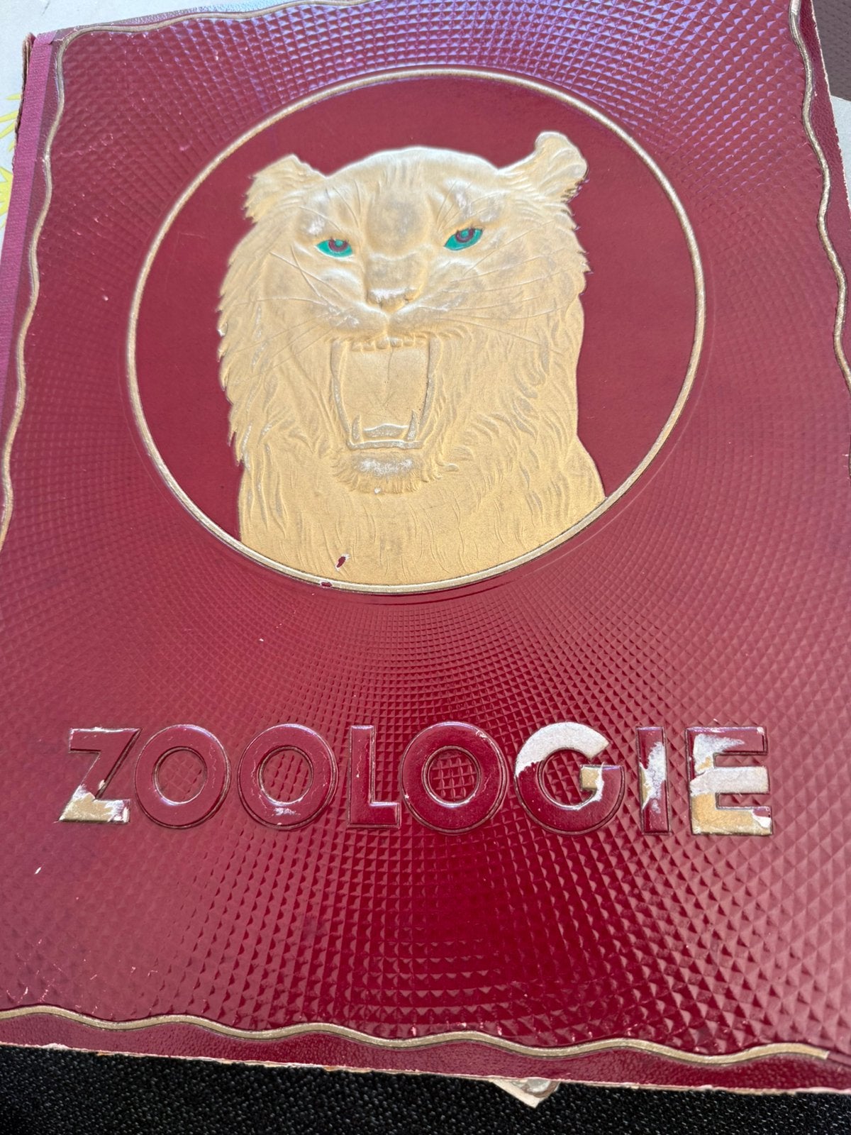 Zoologie, Boeken, Ophalen of Verzenden, Plaatjesalbum