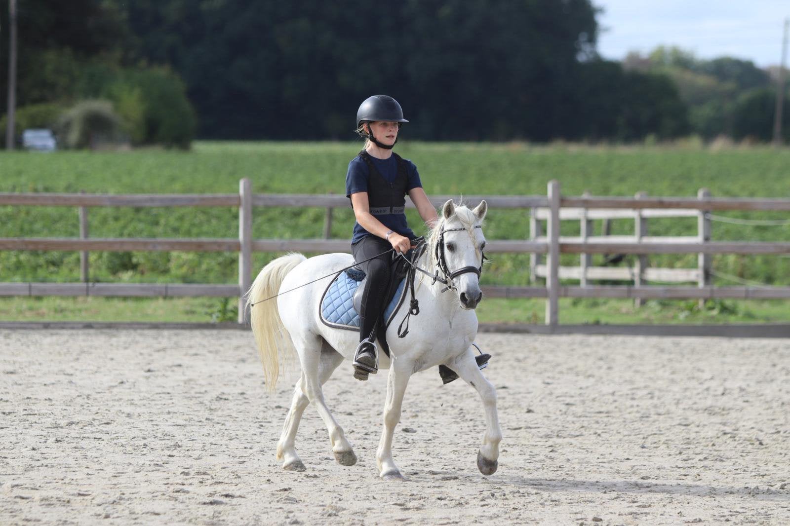 Een superlief ponymaatje!, Hongre