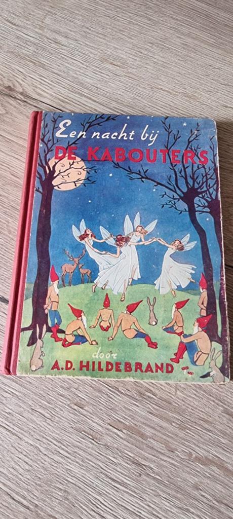 Vintage kinderboek Een nacht bij de kabouters, Ophalen of Verzenden