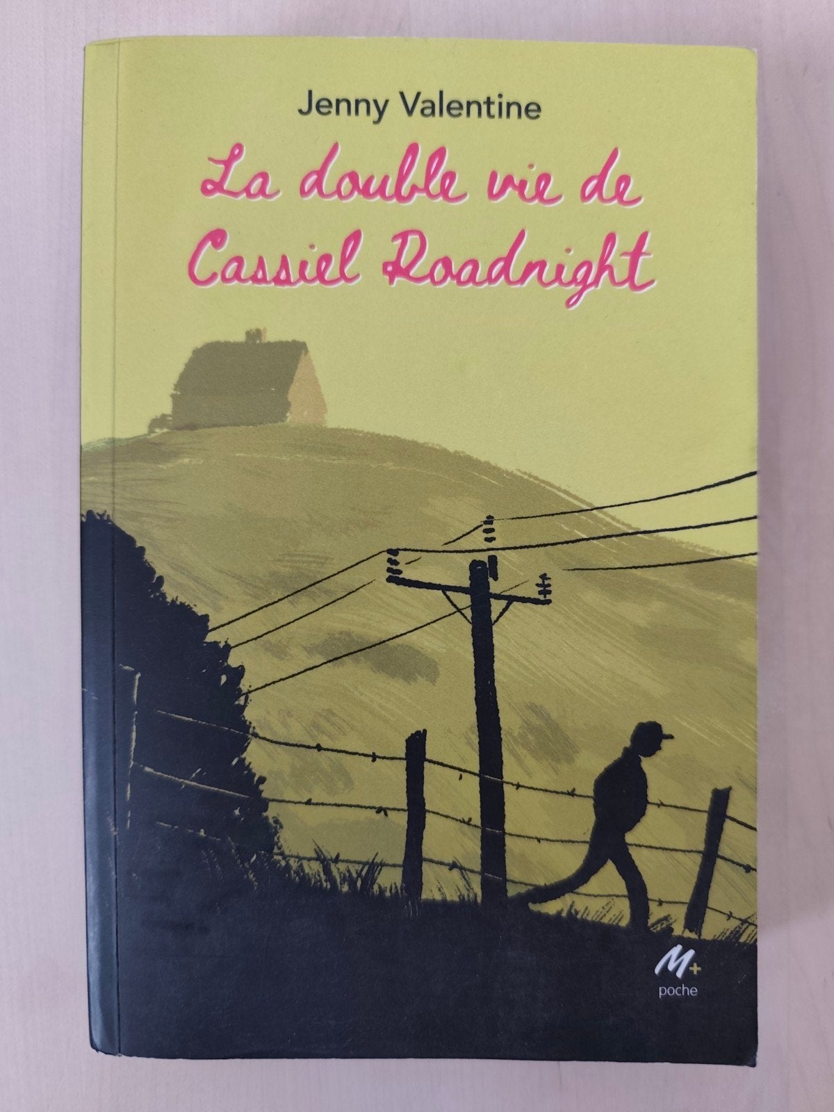 La double vie de Cassiel Roadnight - Livre, Livres, Récits de voyage, Enlèvement, Comme neuf