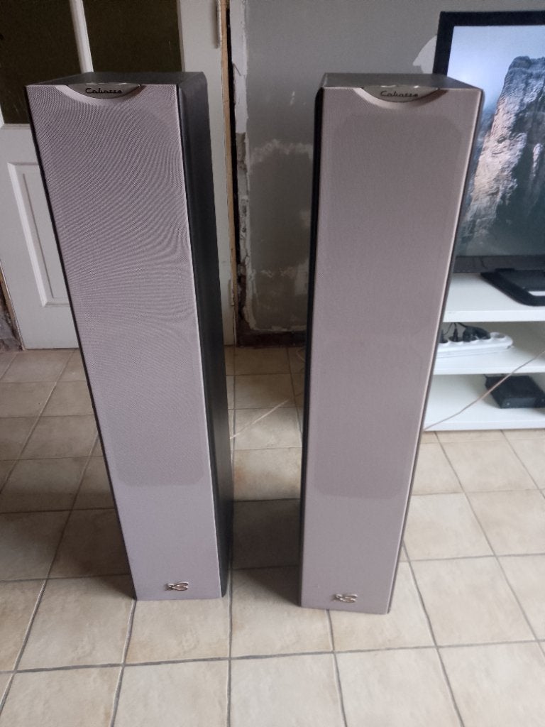 Set van twee luidsprekers cabasse mt3, Audio, Tv en Foto, Luidsprekerboxen, Zo goed als nieuw, 60 tot 120 watt, Front, Rear of Stereo speakers