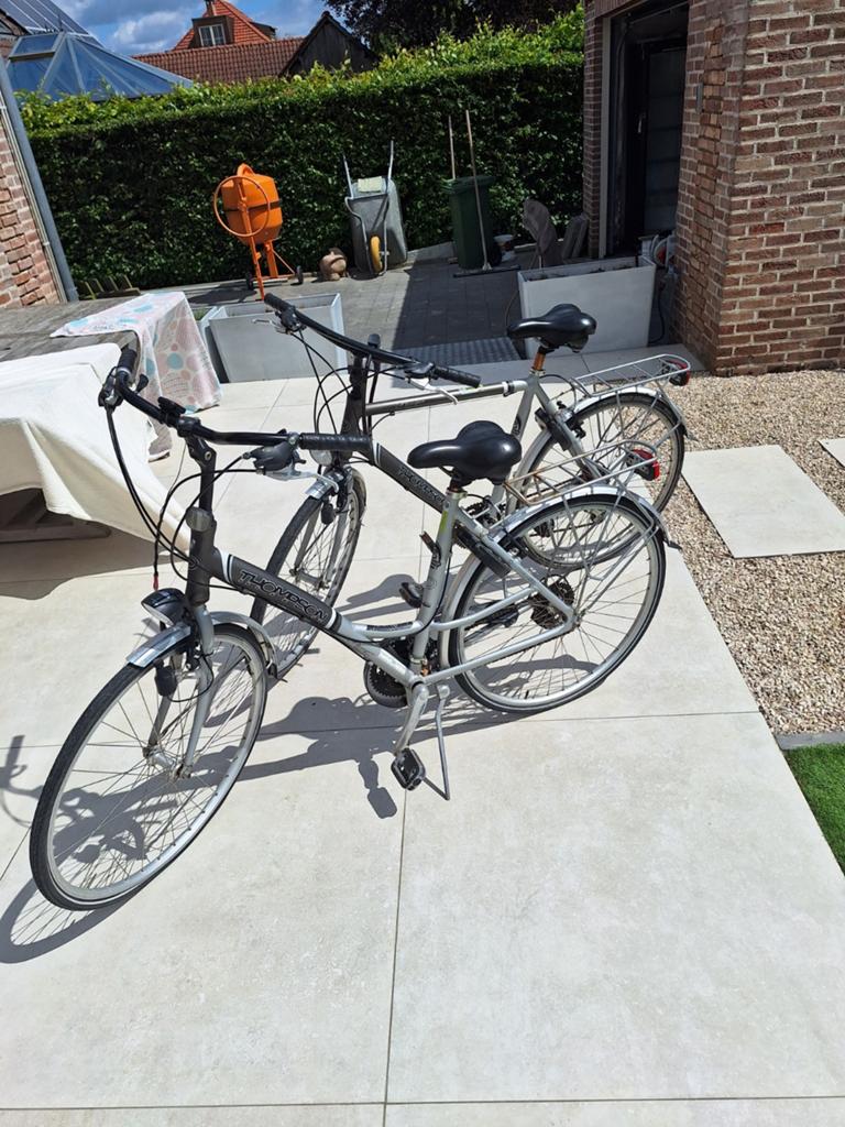 Fietsen heren en dames fiets, Ophalen