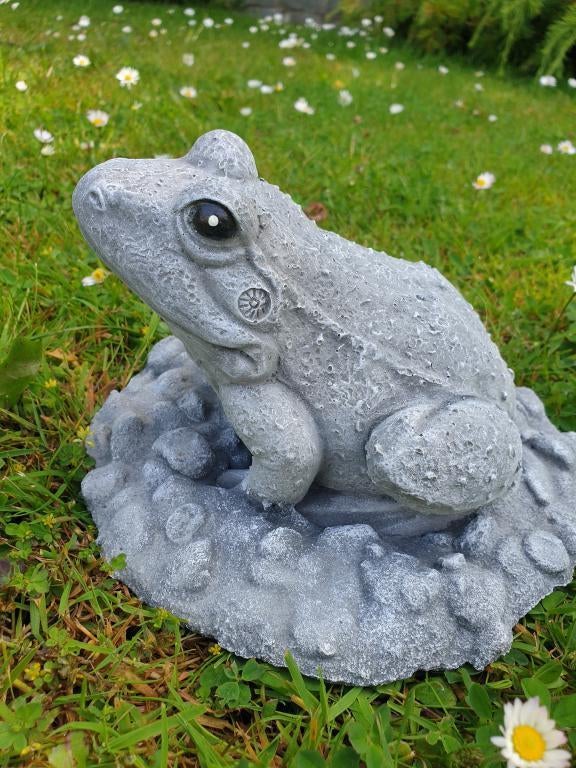 tuinbeeld van een kikker , beton, Ophalen of Verzenden, Nieuw, Beton