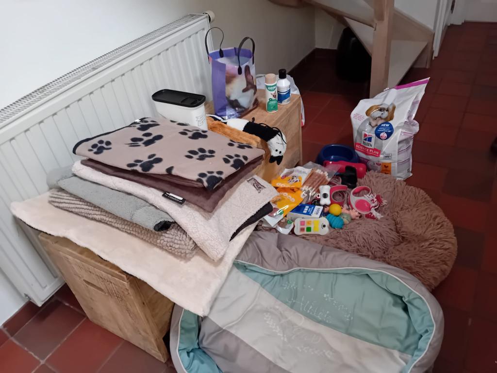 Gratis! Hondenkussens en accessoires, Enlèvement, Utilisé, Autre
