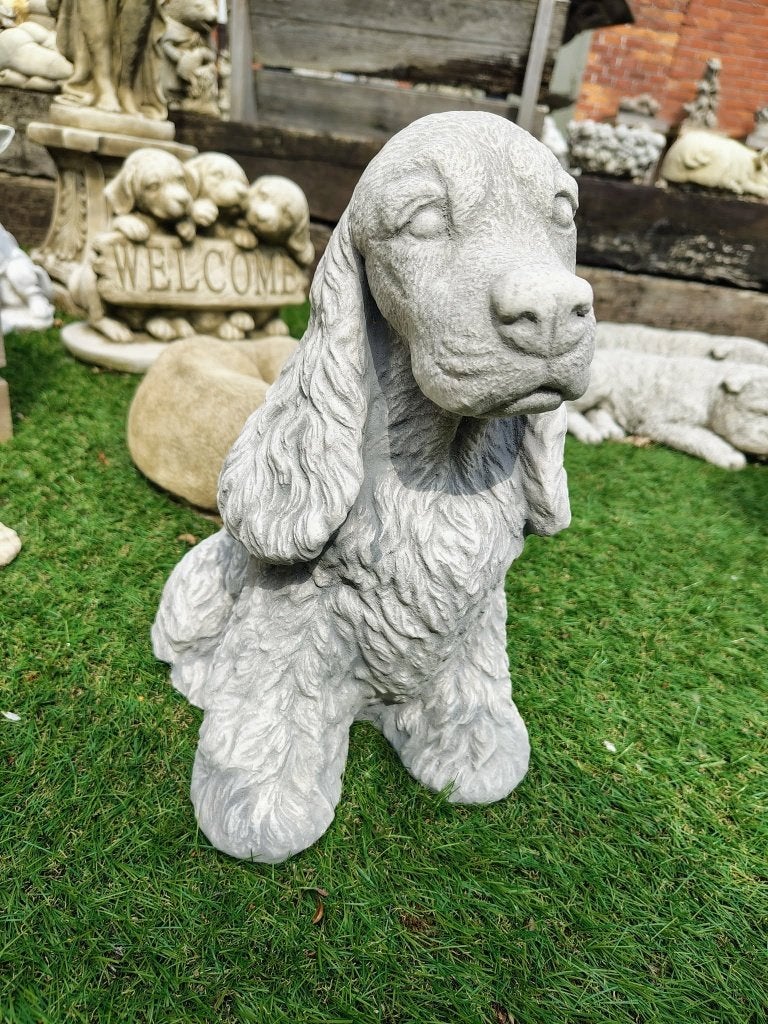 Betonnen tuinbeeld - Engelse cocker, Ophalen of Verzenden, Nieuw, Beton, Dierenbeeld