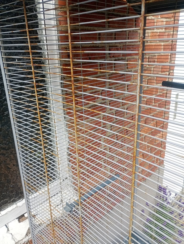 Vogelkooi, Enlèvement, Utilisé, Aluminium, Cage à oiseaux