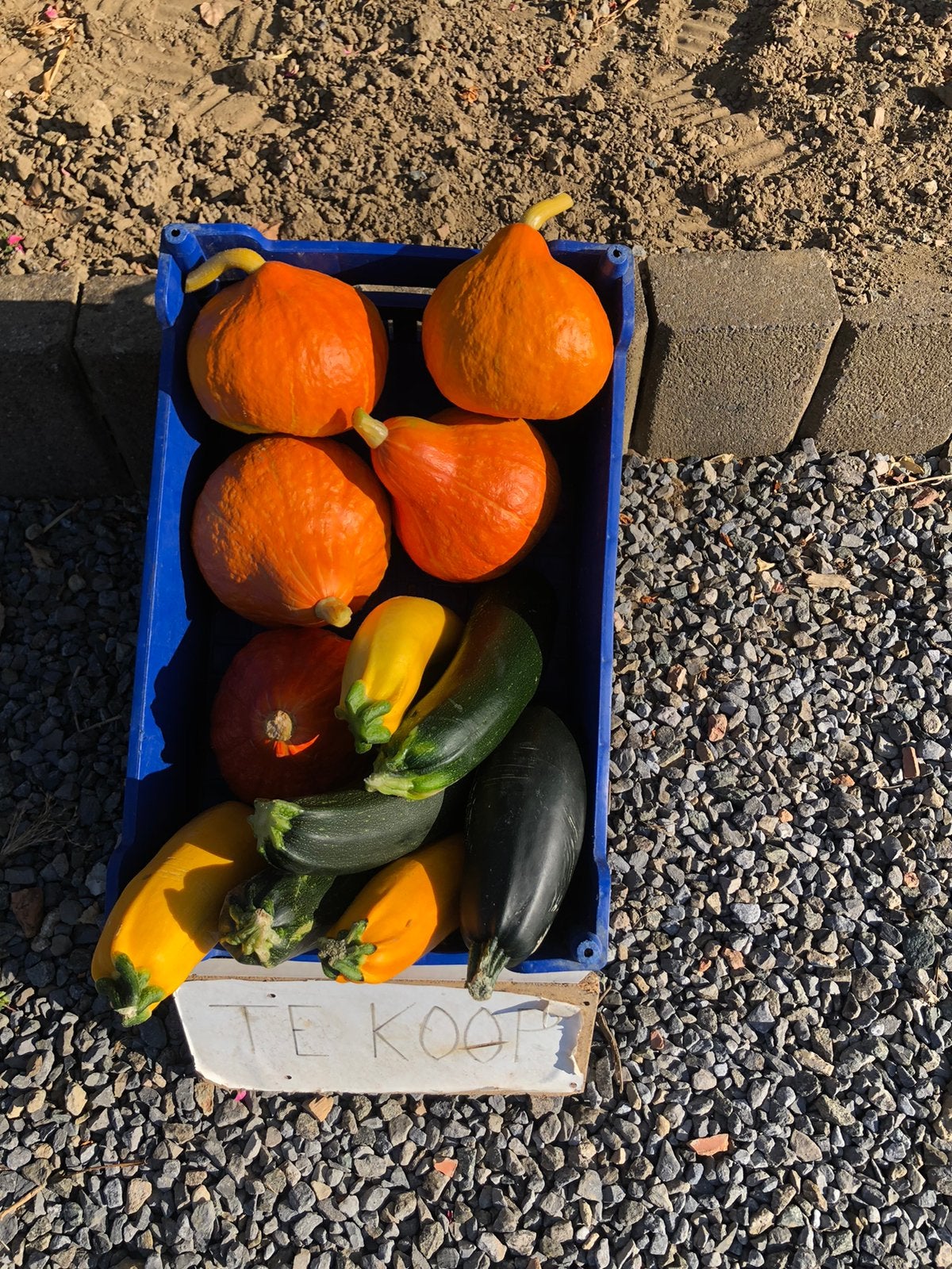 Courgetten, hokkaido en garbo pompoenen, ajuinen, Diversen, Ophalen