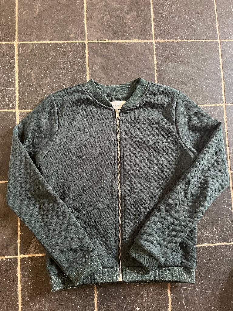 Trui/vest Bien Bleu maat S, Ophalen of Verzenden, Maat 36 (S), Groen
