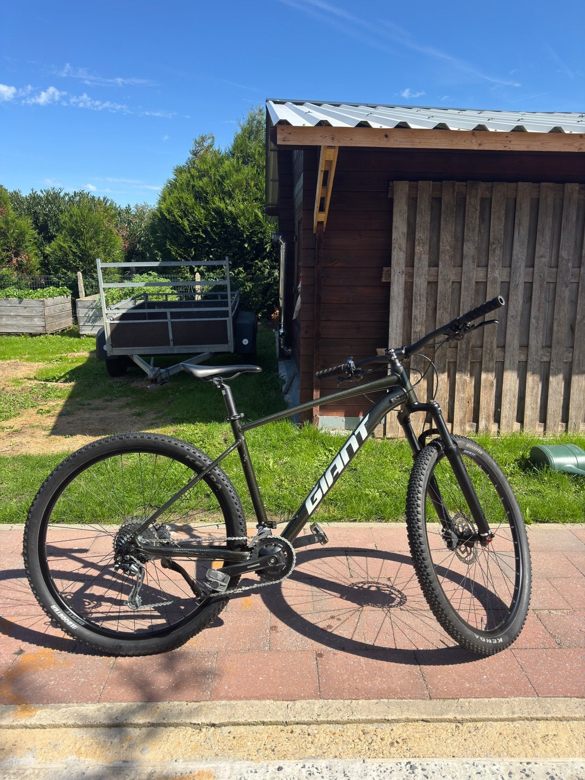 Giant talon 2 donkergroen 29 inch maat L, Ophalen, Giant, Schijfrem, Zo goed als nieuw