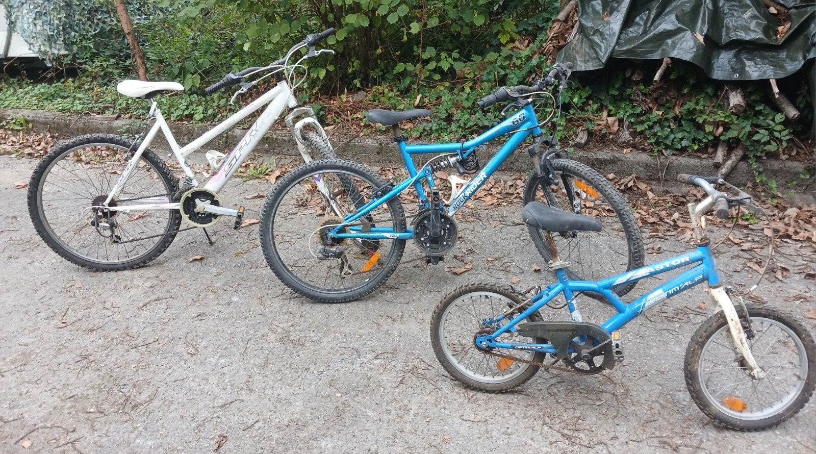 Lot de 3 vélos VTT, Enlèvement
