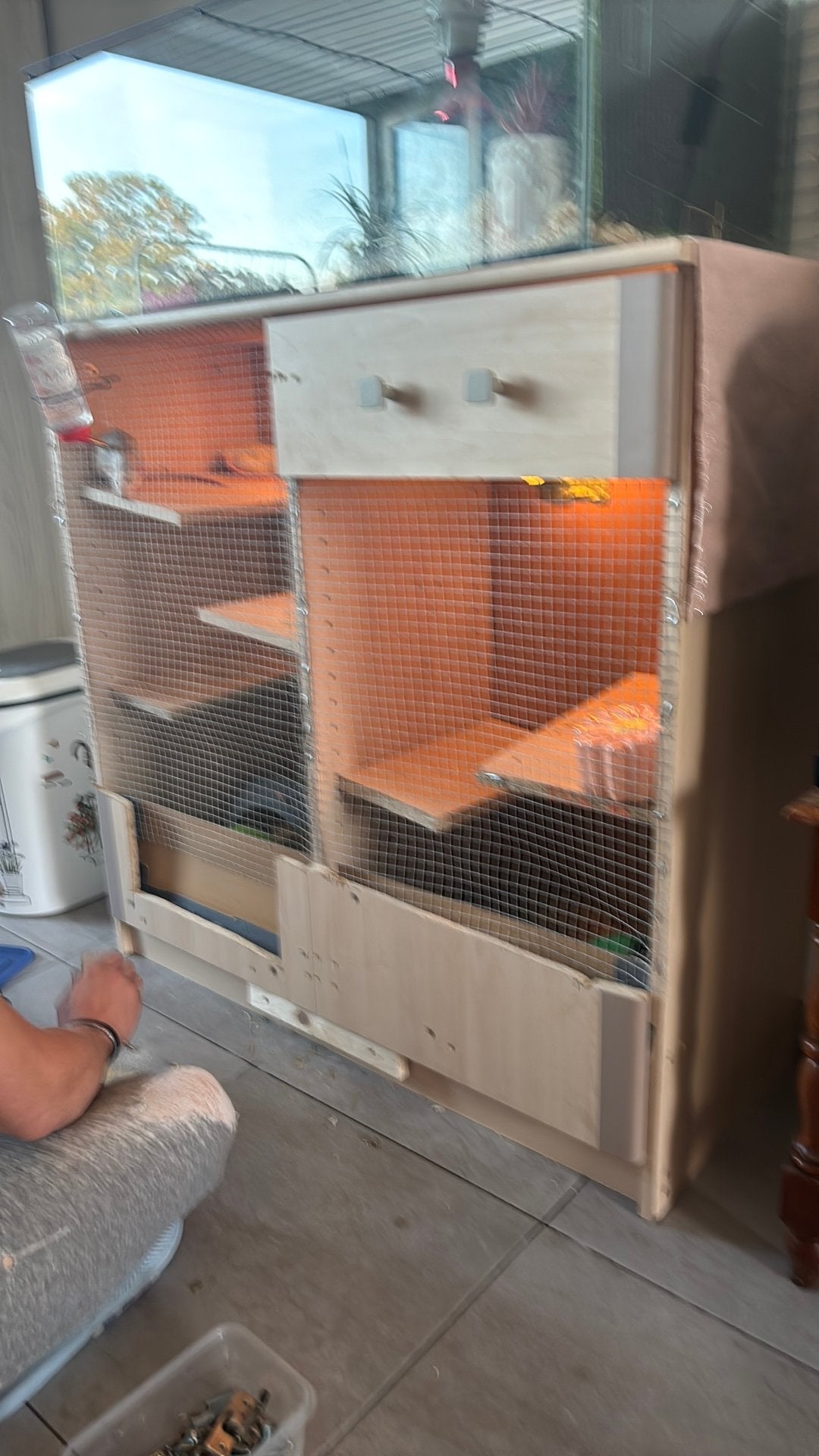 2 ratten met kast  en toebehoren, Enlèvement, Comme neuf, Cage