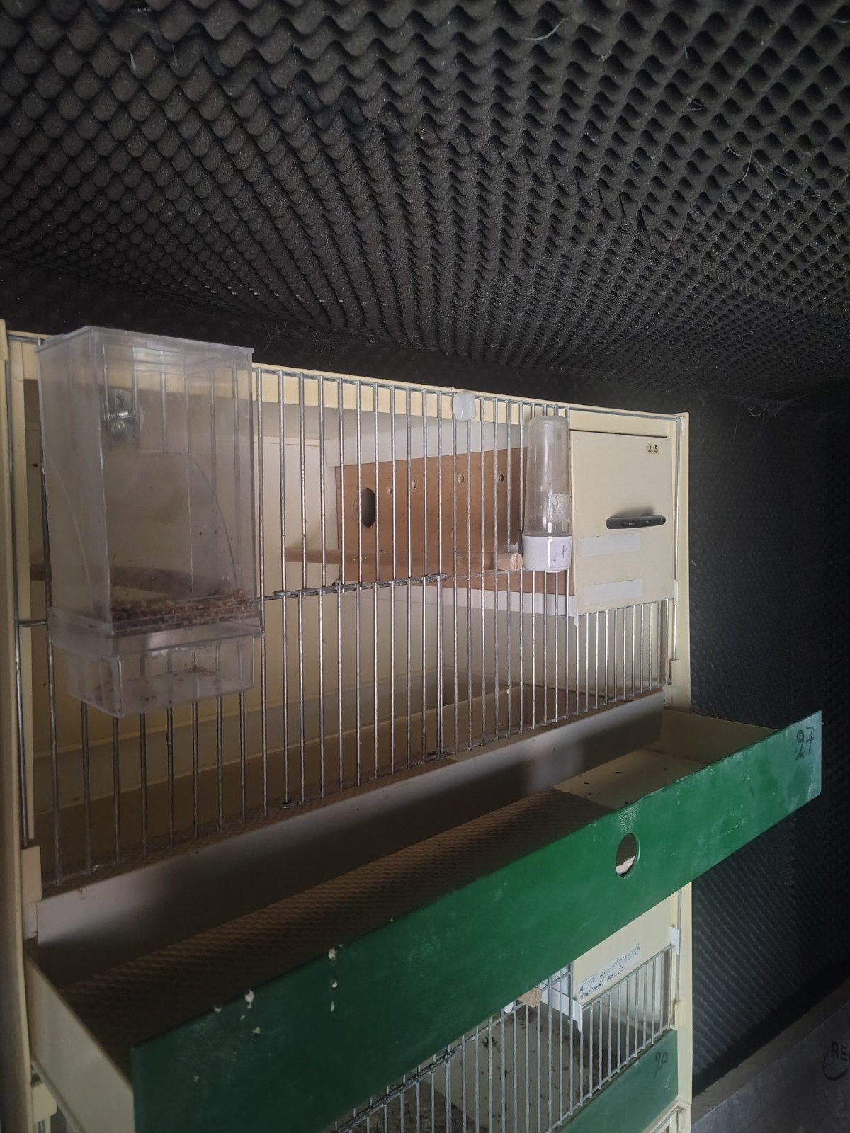 Cages d'élevage en plastique, Enlèvement, Utilisé, Synthétique, Cage d'élevage