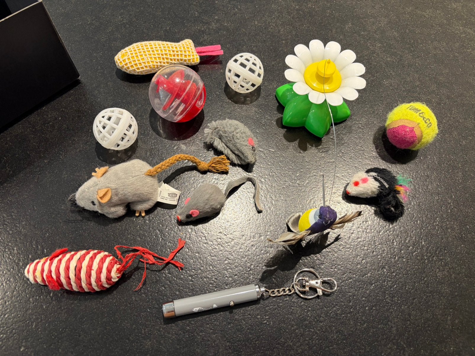 Lot de jeux pour chatons, Enlèvement ou Envoi, Utilisé, Jouets intelligents