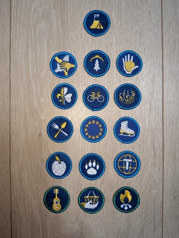 badge scouts polonais, Collections, Enlèvement, Neuf