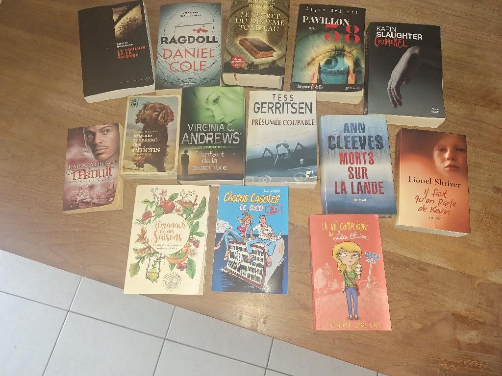 Lot de Romans et autres, Boeken, Romans, Gelezen, Ophalen