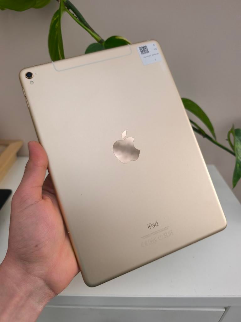 iPad Pro 9.7 inch 2016 128 GB met Sim, Ophalen of Verzenden