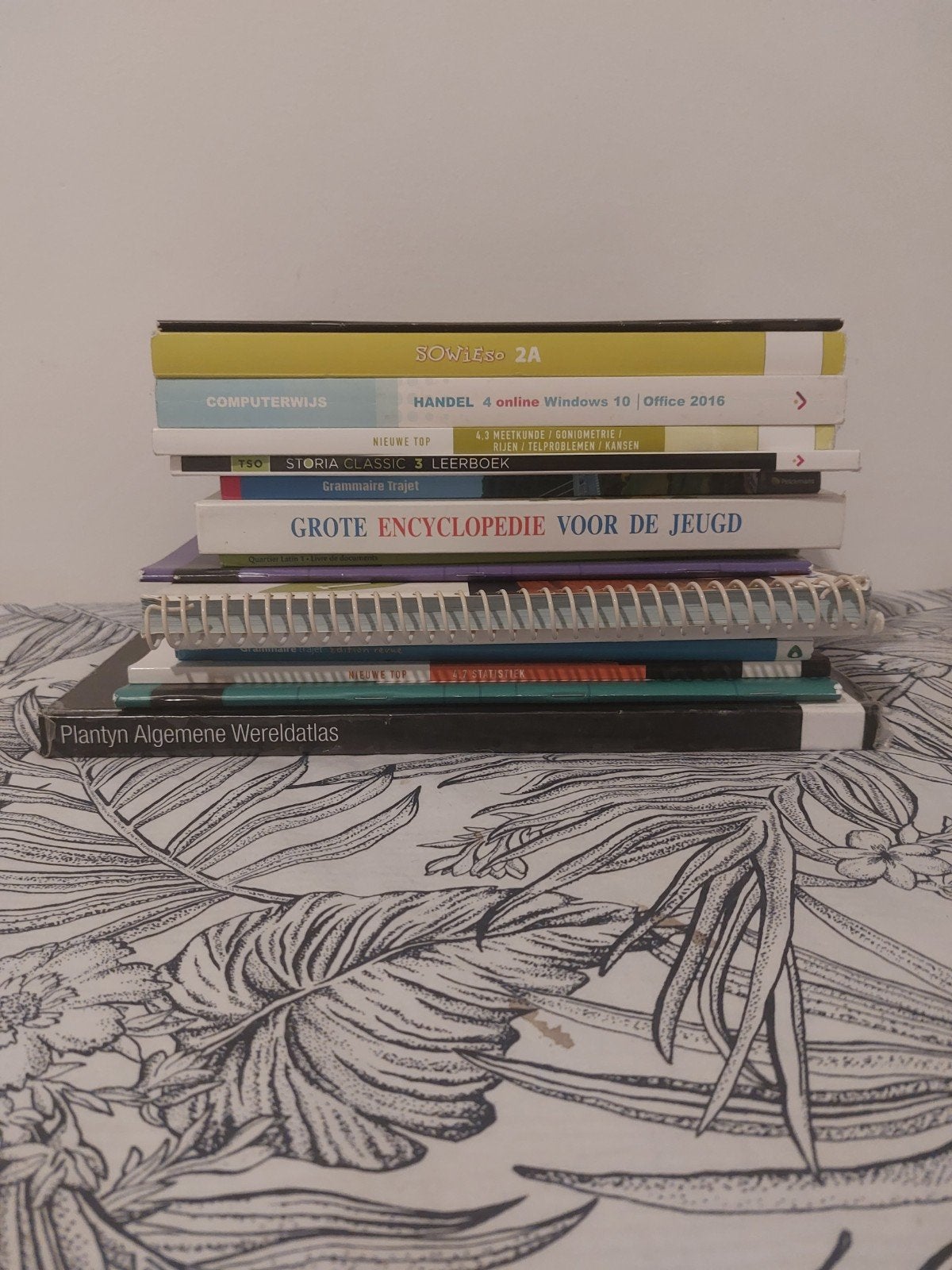Schoolboeken/handboeken, Boeken, Schoolboeken, Ophalen of Verzenden, Zo goed als nieuw, Overige niveaus, Aardrijkskunde