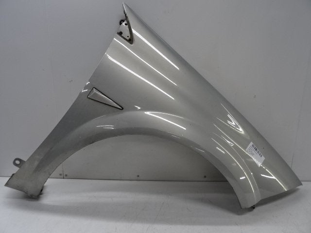 SPATBORD RECHTS VOOR Renault Megane II (LM), Gebruikt, Renault, Mevr. I. Hauben, Spatbord