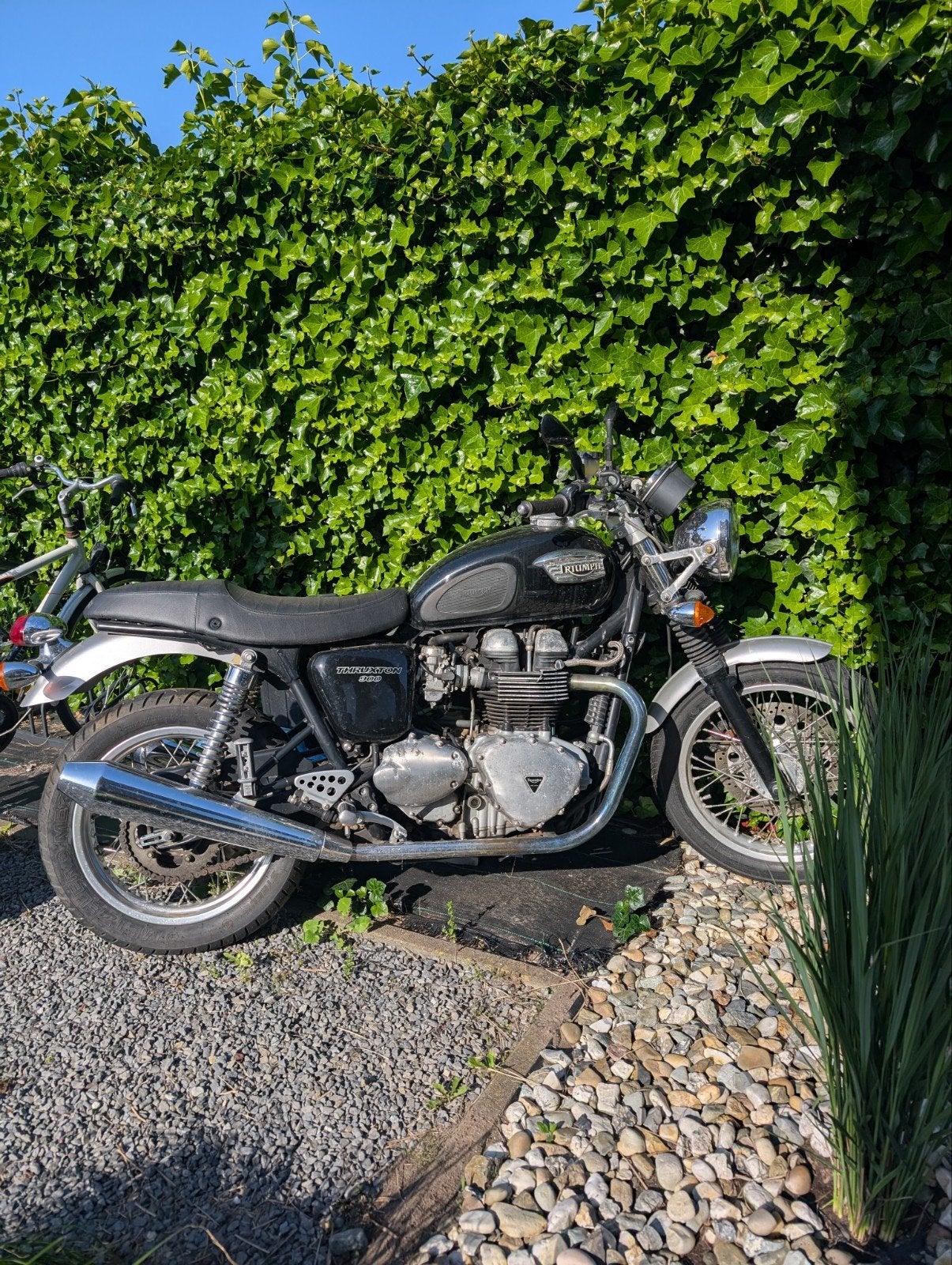 Triumph Thruxton zwart -goed staat, Motoren