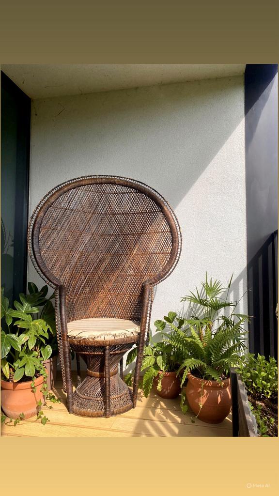 Fauteuil paon vintage en rotin, Jardin & Terrasse, Chaises de jardin, Enlèvement, Utilisé, Rotin