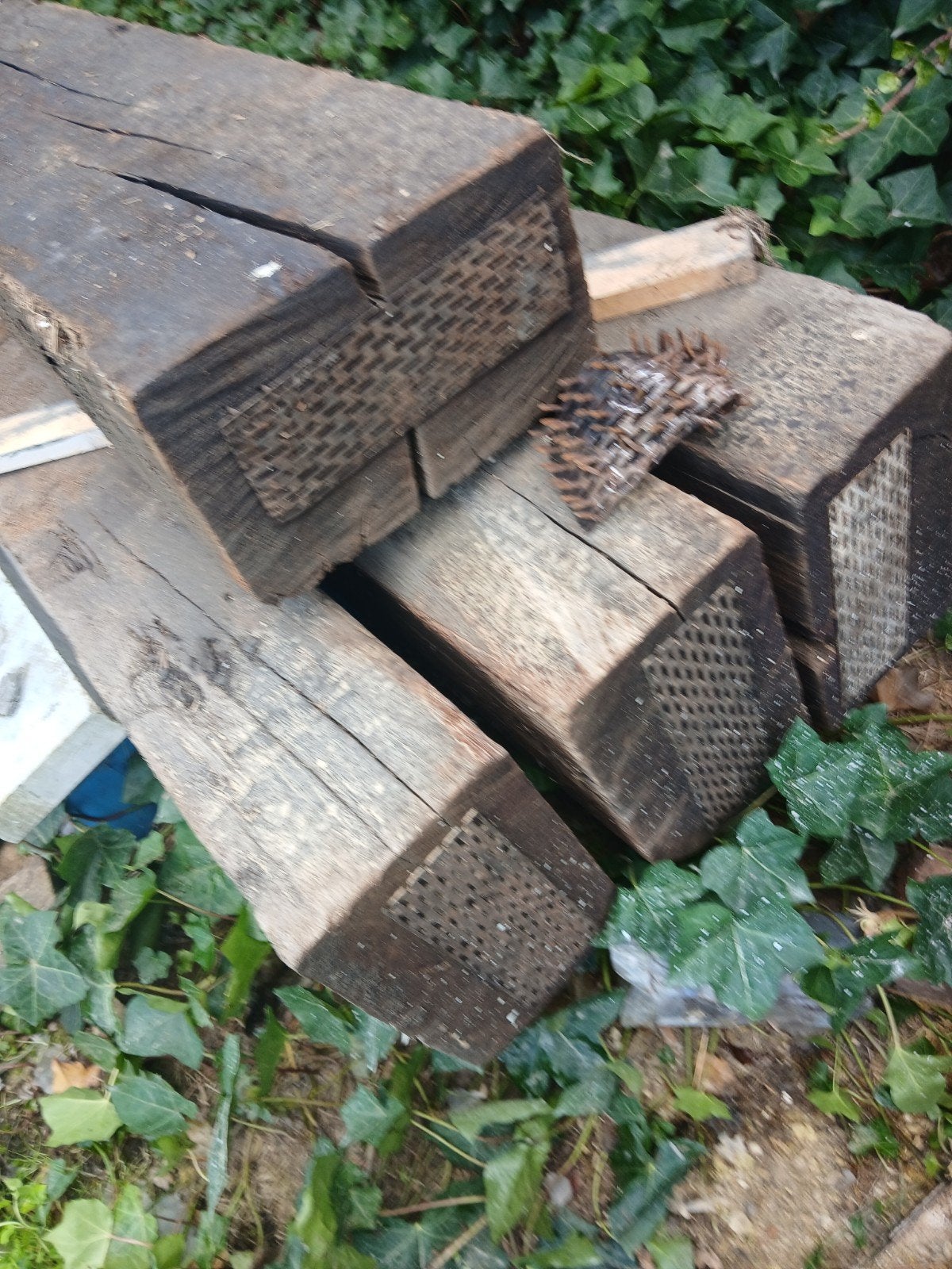 biels, Tuin en Terras, Ophalen, Biels