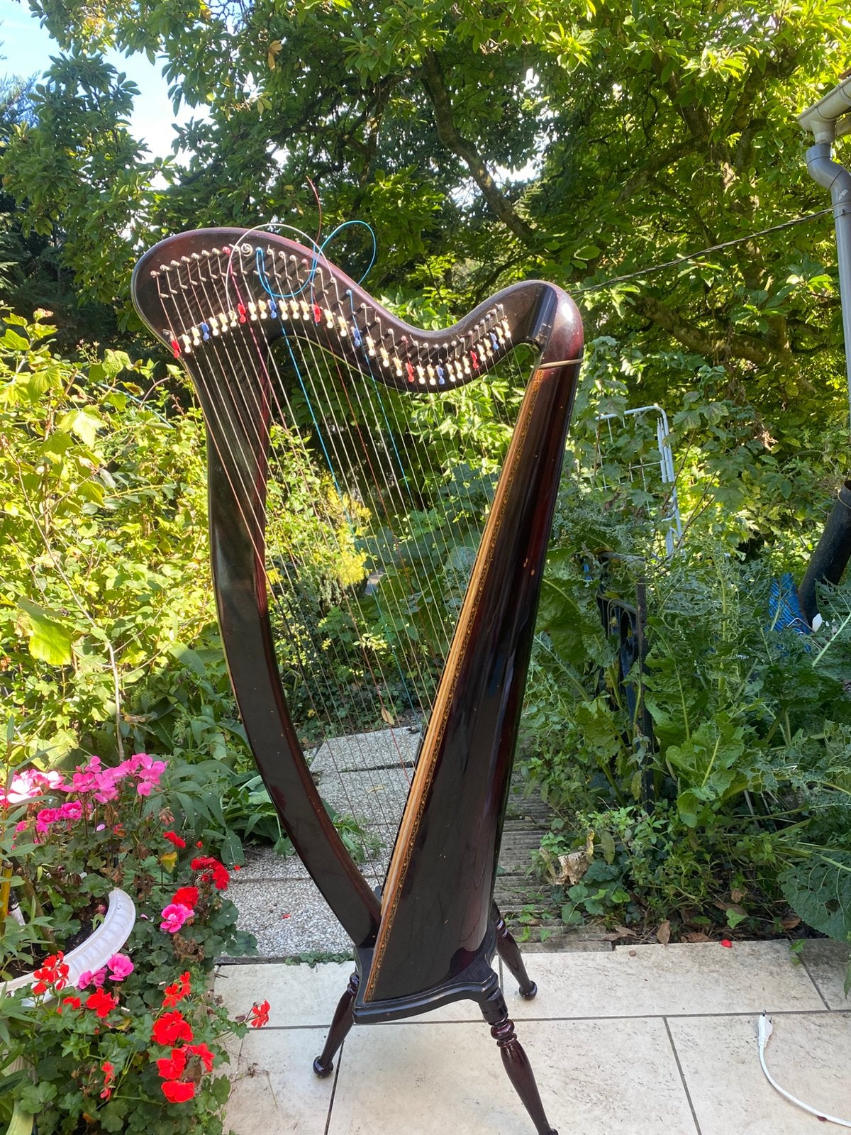 Harpe celtique Aoyama Kerry, Musique & Instruments, Enlèvement, Comme neuf