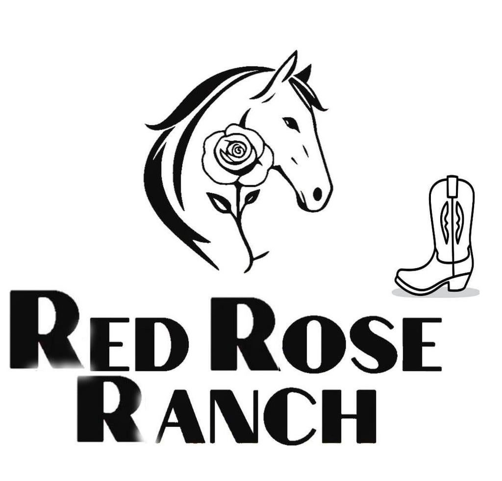 GEZOCHT braaf paard, Dieren en Toebehoren, Paarden, Zadelmak, 7 tot 10 jaar, 160 tot 165 cm, Recreatiepaard