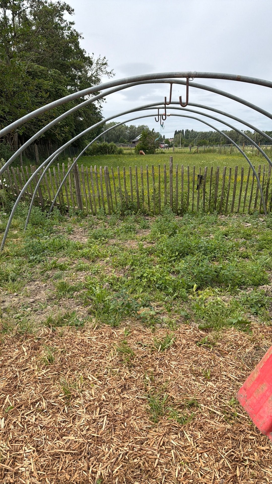 5 bogen voor een tunnelserre zonder deur, Tuin en Terras, Overkappingen, Ophalen, Gebruikt, Serre