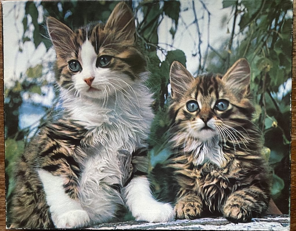Puzzel met kittens (100 stuks), Hobby en Vrije tijd, Ophalen of Verzenden, Gebruikt