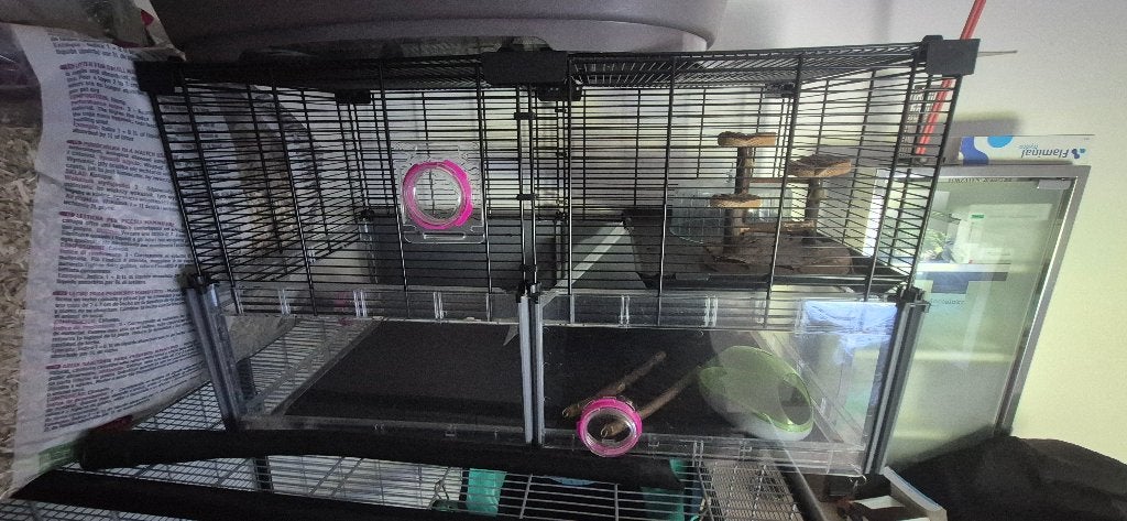 Cage pour hamster, Moins de 60 cm, 75 à 110 cm, Cage, Enlèvement