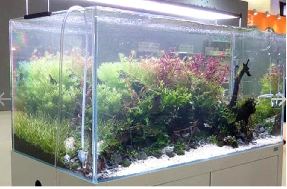 DRINGEND GRATIS AQUARIUM GEZOCHT 60CM OF GROTER, Enlèvement ou Envoi, Couvercle inclus, Comme neuf, Aquarium vide