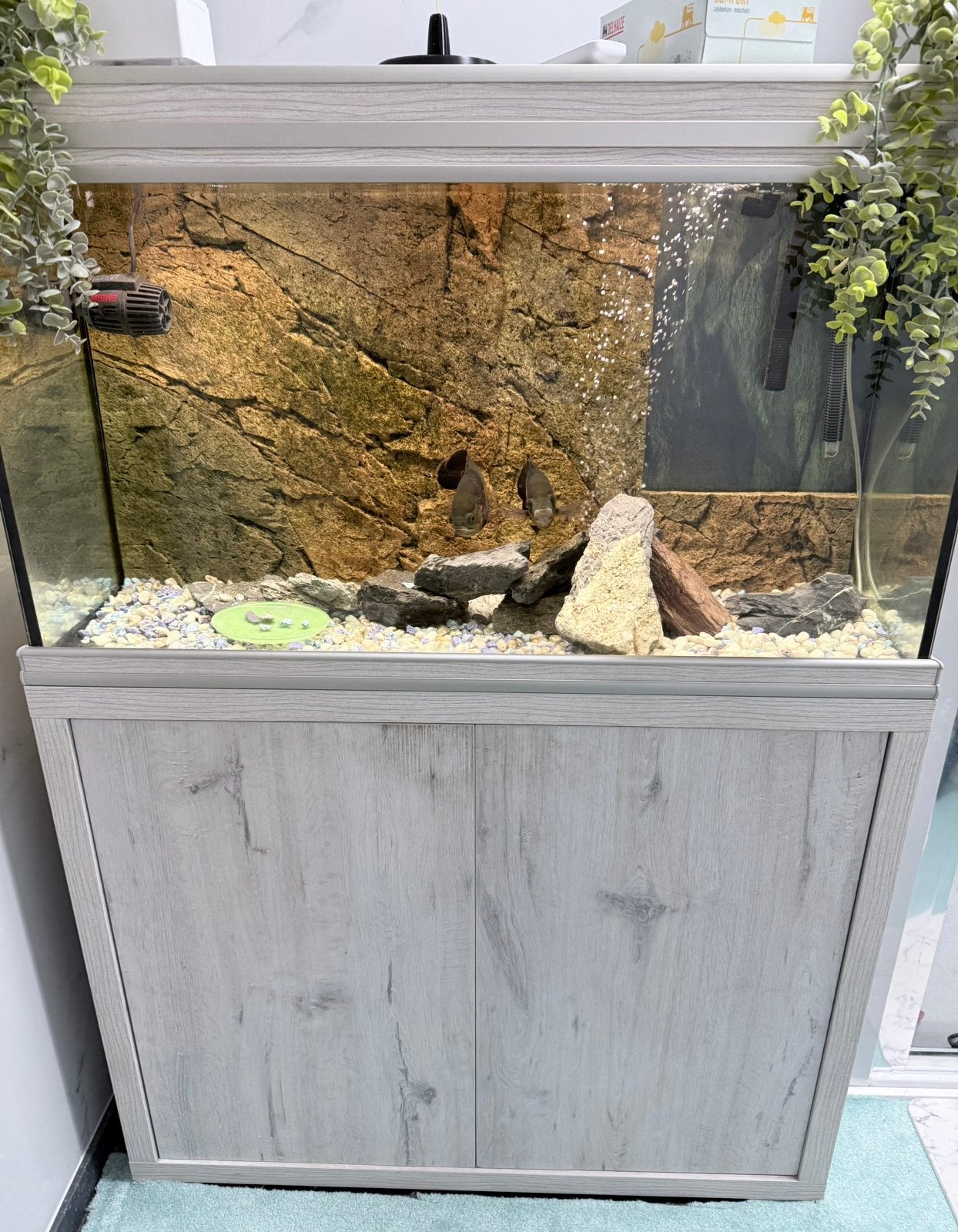 Aquarium met meubilair (met of zonder uitrusting), Dieren en Toebehoren, Ophalen of Verzenden, Zo goed als nieuw