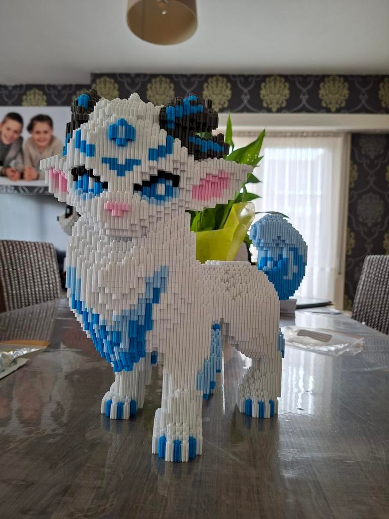 Pixel bouwpakket, Enlèvement