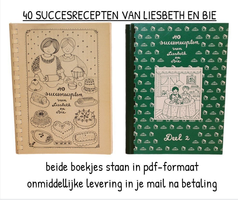 DIGITAAL DUO - 40 SUCCESRECEPTEN VAN LIESBETH EN BIE, Boeken, Ophalen of Verzenden, Nieuw, Taart, Gebak en Desserts