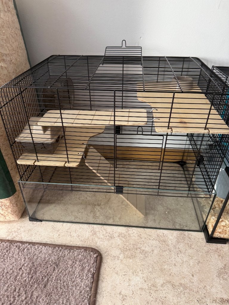 Gerbils hok met accessoires, Dieren en Toebehoren, Ophalen, 60 tot 90 cm, Hok, Hamster