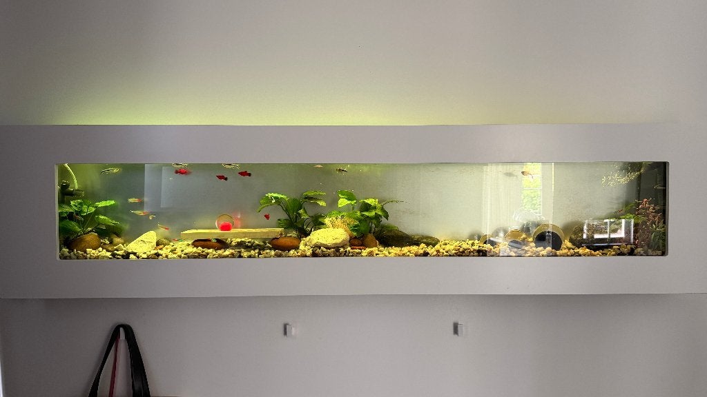 Aquarium mural design, Animaux & Accessoires, Poissons | Aquariums & Accessoires, Comme neuf, Aquarium d'eau douce rempli, Télécommande incluse