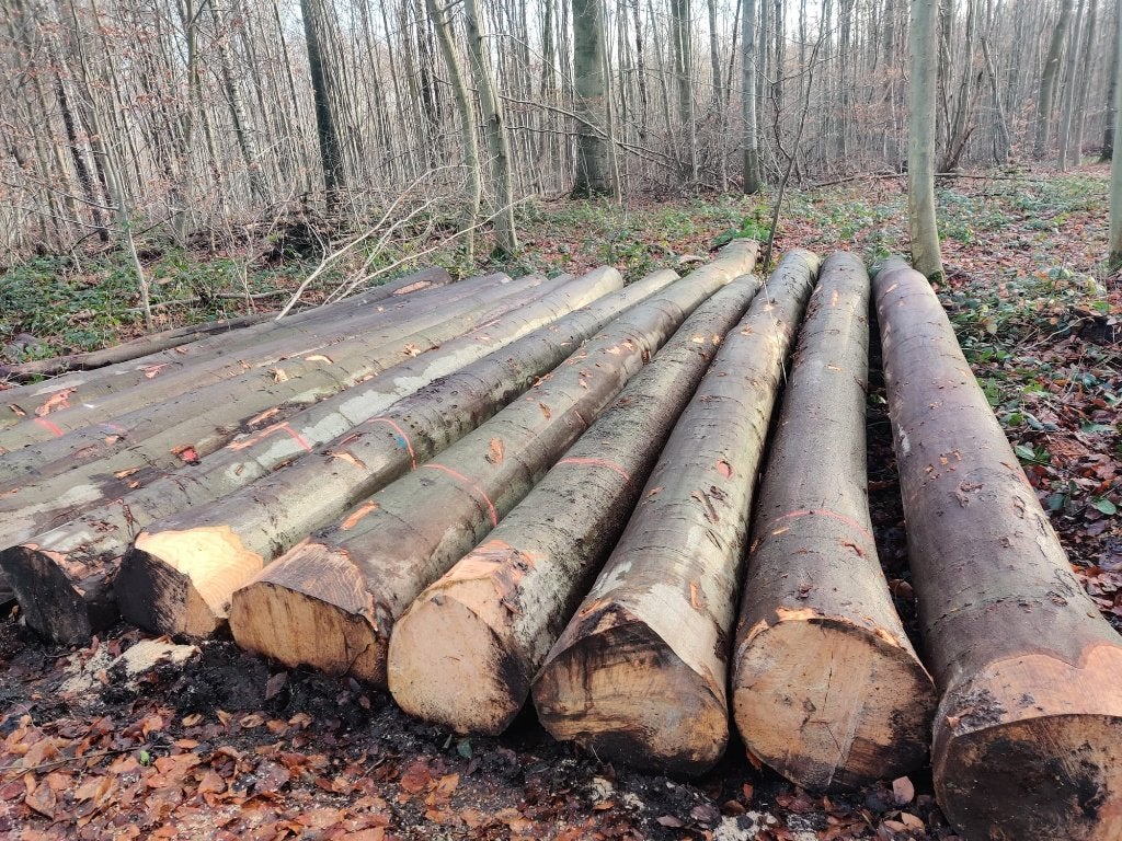 brandhout (hardhout), Tuin en Terras, 6 m³ of meer, Ophalen of Verzenden, Eikenhout, Blokken
