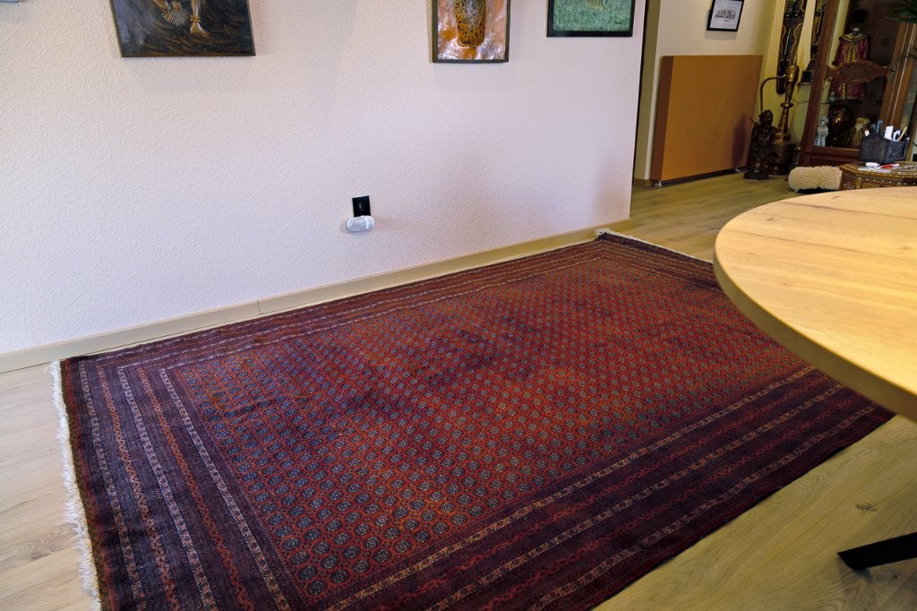 Tapis Bokhara pakistanais noué à la main, 200 cm ou plus, 150 à 200 cm, Enlèvement, Rectangulaire
