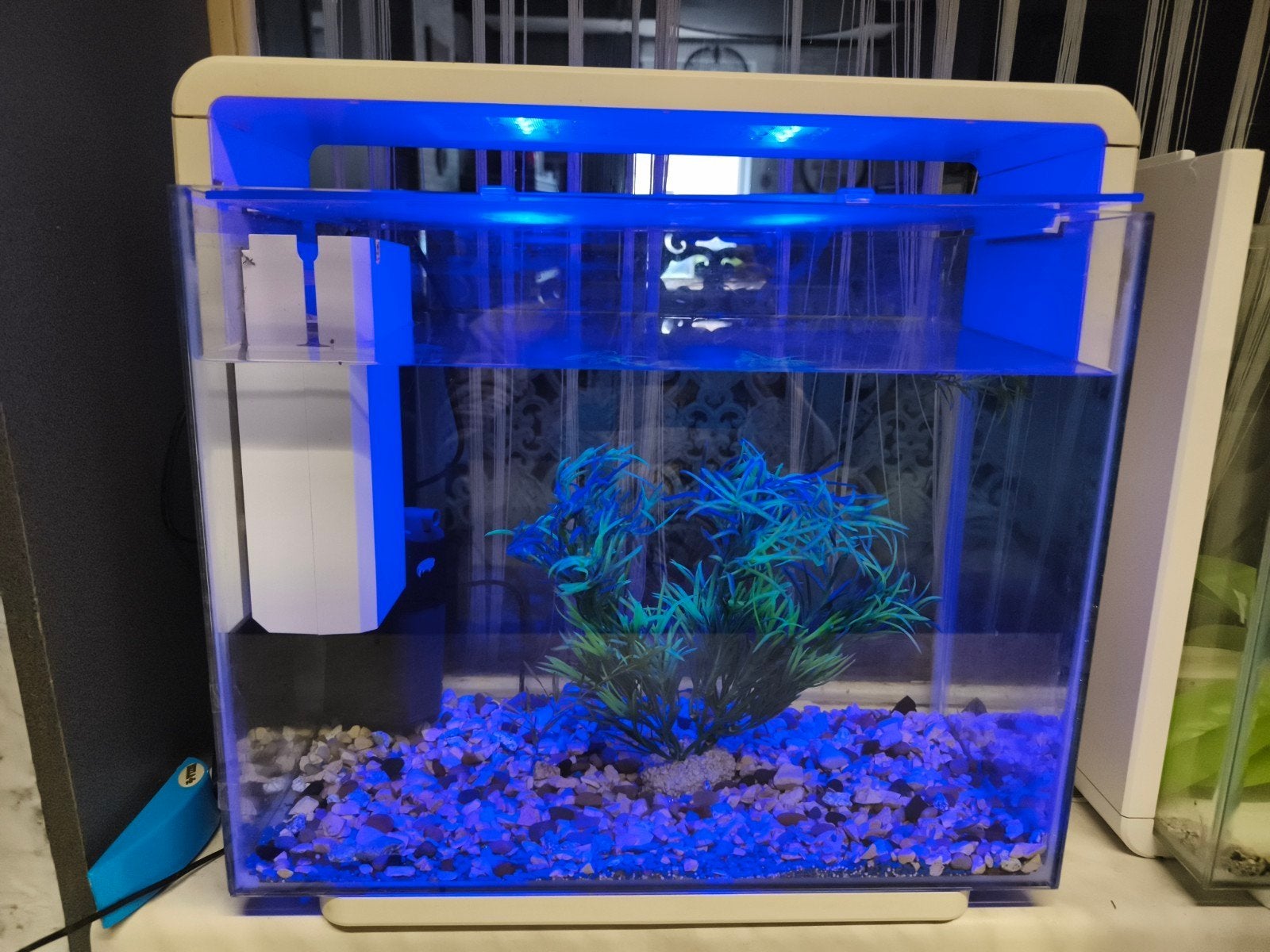 aquarium, Pompe, Enlèvement, Utilisé, Éclairage ou Chauffage
