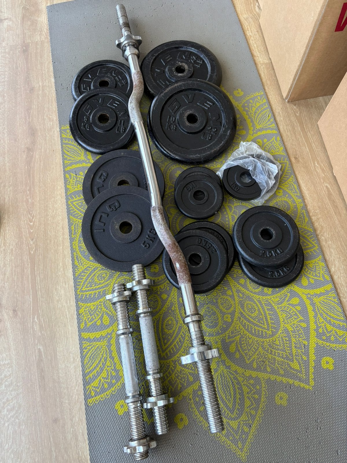 30mm Dumbbell halter set, EZ curl bar en gietijzeren platen, Ophalen, Zo goed als nieuw, Halterschijven