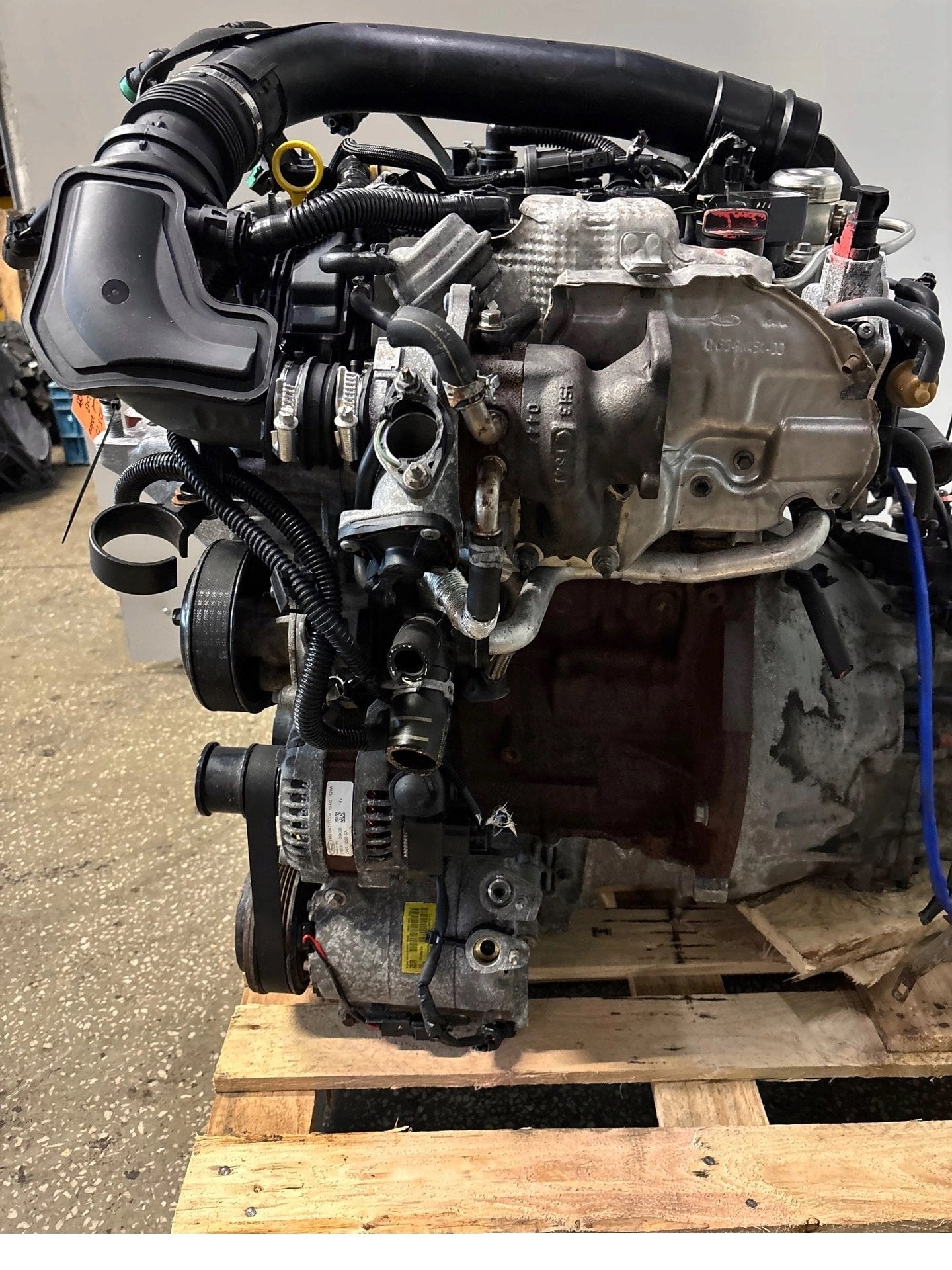 Moteur M1DA Complet FOCUS FORD, Envoi, Utilisé, Daihatsu