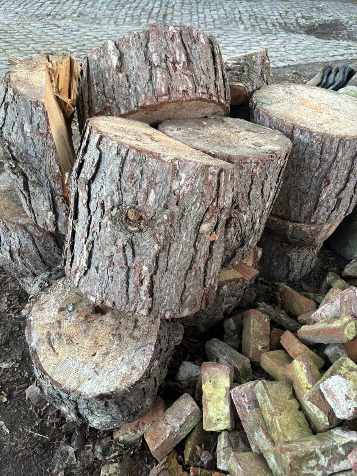 Souches de bois de chauffage d'épicéa, Jardin & Terrasse, Enlèvement