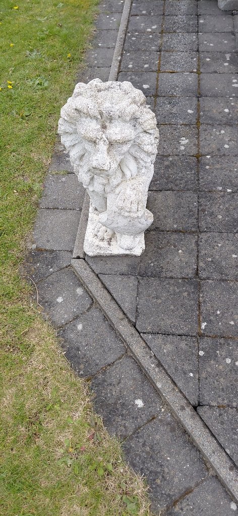 Tuinbeeld van Leeuw in zeer  goede staat, Tuin en Terras, Tuinbeelden, Ophalen, Zo goed als nieuw, Beton, Dierenbeeld