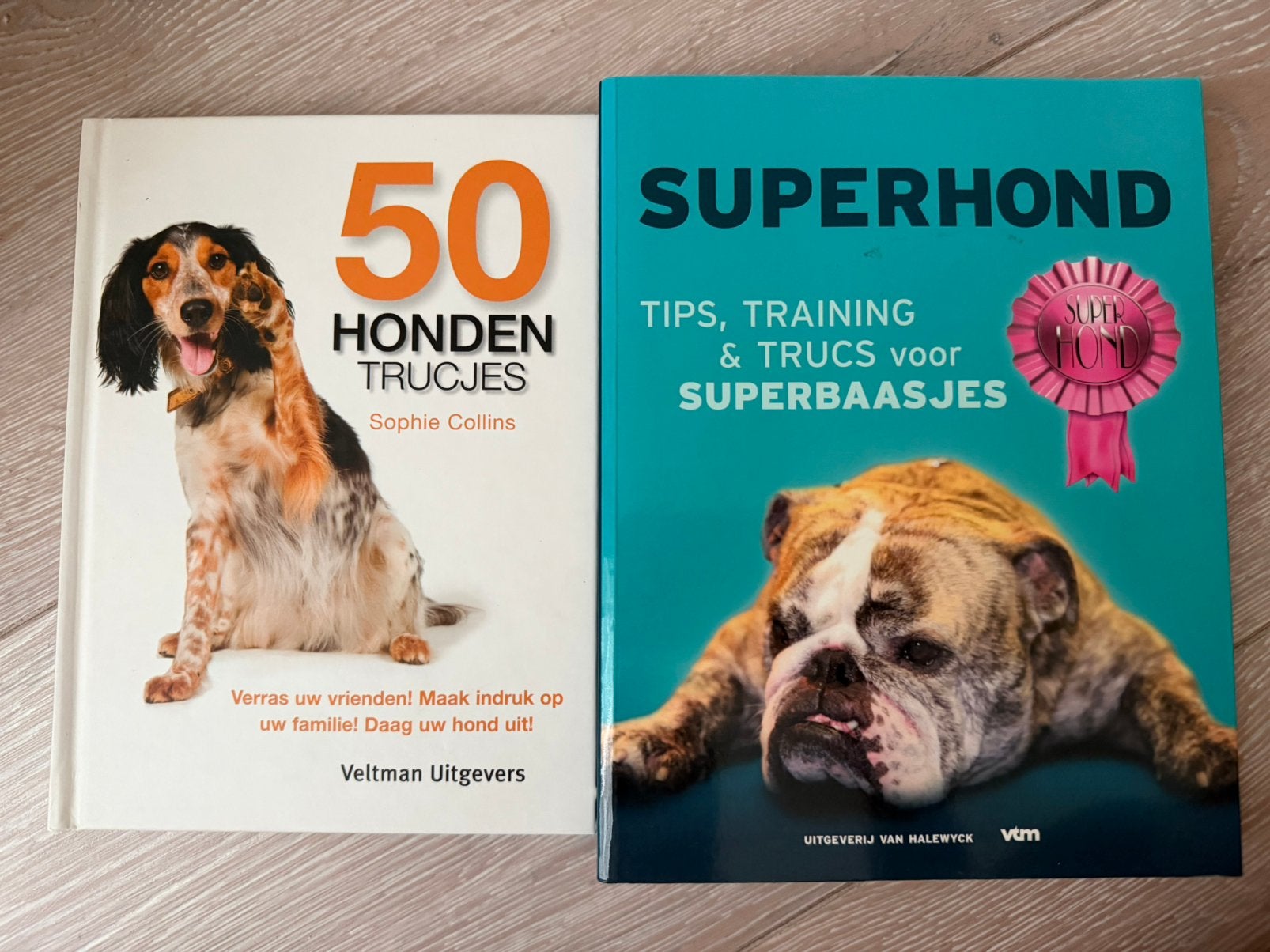 Boeken hondentraining, Livres, Animaux & Animaux domestiques, Enlèvement ou Envoi, Neuf, Chiens
