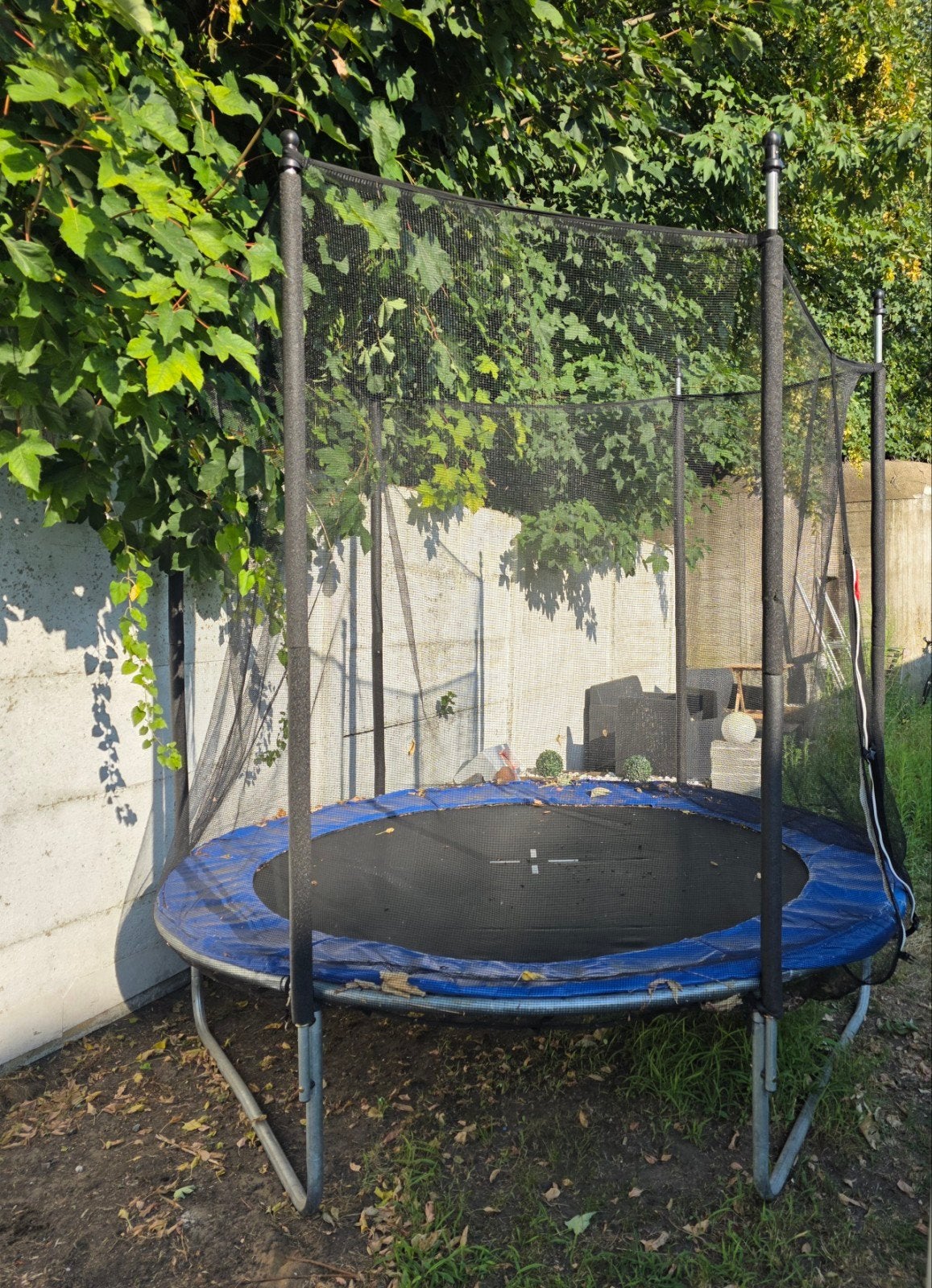 Trampoline met veiligheidsnet, Kinderen en Baby's, Ophalen